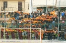 Giulianova - Viareggio_199