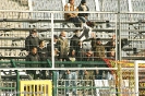 Giulianova - Viareggio_42