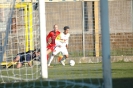 Viterbese - Giulianova_148