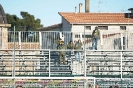 Giulianova - Carrarese_187