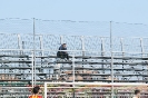 Giulianova - Prato_231