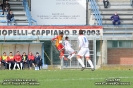 Cuoiopelli - Giulianova_181
