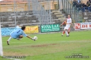 Giulianova - Cuoiopelli_228