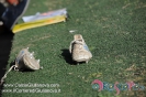 24 giornata Giulianova VS Matelica_120
